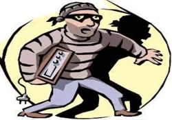 Vietnam'da iki Türk hırsızlık yaparken yakalandı