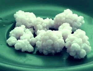 10 soruda kefir! Kefir her derde deva mı?