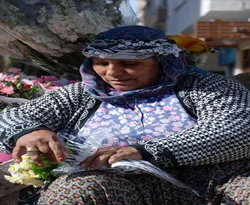 AB çingenelere sahip çıkıyor