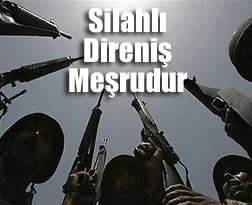 Alman yazardan direnişçilere destek!