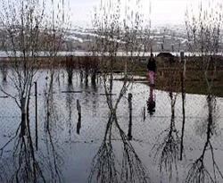 Ardahan'da Kura Nehri taştı