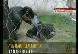 Gazze katliamı kameralarda