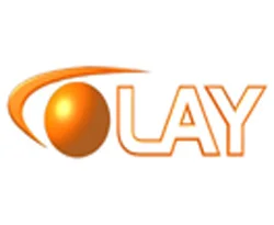Olay Medya'ya TMSF el koydu