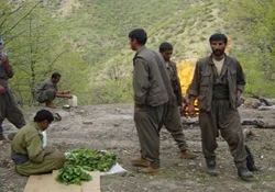 PKK'dan kaçan 3 terörist teslim oldu