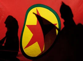 Terör örgütü 'kasası' yakalandı
