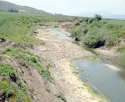 Asi Nehri su bekliyor
