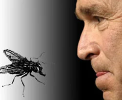 'Bush'u öldür' oyunu