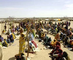 Darfur'da tecavüz uyarısı