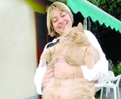 Gerçek Garfield ortaya çıktı!