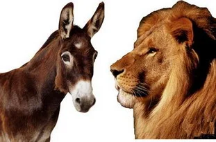 Ormanlar kralı aslan ile eşeğin itirafları