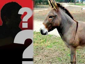 Taksimde eşek gibi anıracak yazar kim?