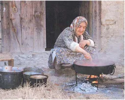 Türk misafirperverliğine bilimsel araştırma