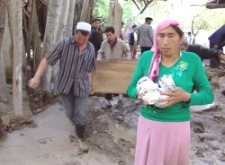 Doğu Türkistan'da sel: 7 ölü
