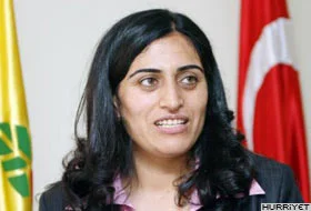 DTP: Türkiye'yi 20-25 bölgeye ayıralım
