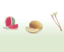 İsraillilerin sinsi tohum avı!