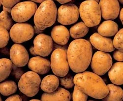 Patates yüzünden iki ülke birbirine girdi