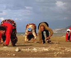 Türk bilimadamı 'Tersine evrim'i kanıtladı