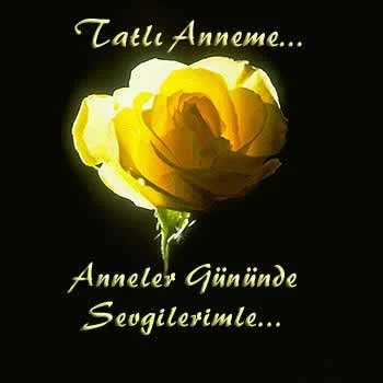 Ümmü teyze yılın annesi seçildi