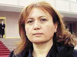Ergenekon sanığının evindeki gazeteci