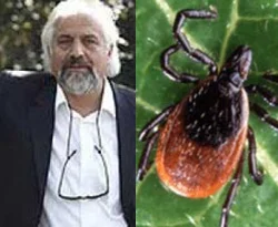 İlginç iddia: Kene 12 Eylül ürünü