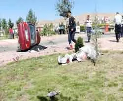 Kaplumbağa dehşeti: 2 ölü, 2 yaralı