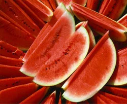 Karpuz kabak aşılı olunca, tadı kaçtı