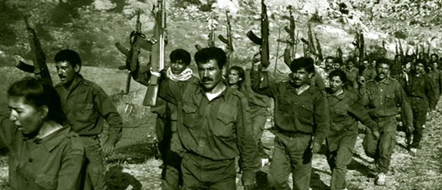 Şırnak'ta 8 terörist teslim oldu