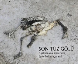 'Aşağıda kök kururken, üstte bahar açar mı?'