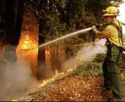 California 20 gündür yanıyor