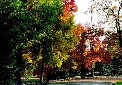 Ensar Vakfı pikniği coşkuyla son buldu