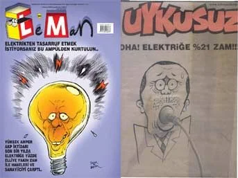 Erdoğan'a 'karikatür' çarptı