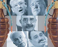 'Ergenekon' Çin basınında