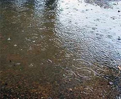 Hindistan'da şliddetli yağışlar: 11 ölü