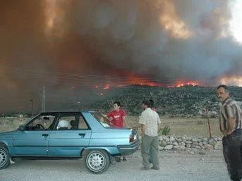 İzmir'de çıkan orman yangını köy boşalttırdı