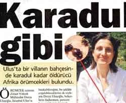 'Kene'yi şirketi için pazarlamış