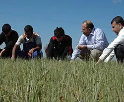 Kuraklığın maliyeti 700 milyon YTL