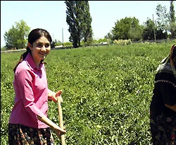 Tarladan çıkan OKS birincisi