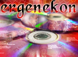 Ergenekon'dan 9 şirkete büyük gözaltı