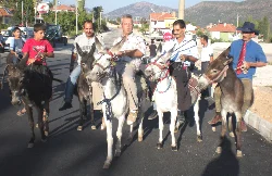 Eşek safaride birinci vekil eşeği