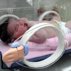 İşte tosun bebek: 7.1 Kg doğdu!