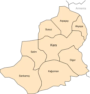 Kars'ta fetih coşkusu