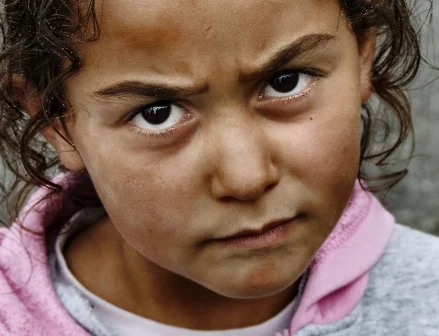 Türkiye'nin anadilleri: Trakya ve Anadolu'da 36 anadil konuşuluyor