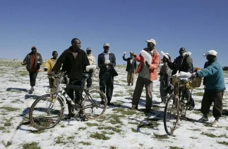 Kenyalılar ilk kez kar gördü