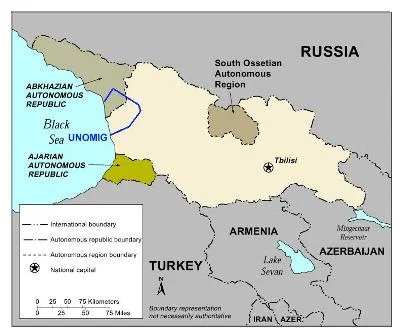 Rus yanlısı 6 devlet Gürcistan'ı kınadı