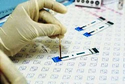 Barcelona'daki eczanelerde bedava AIDS testi