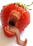 GDO tam bir sorun yumağı!
