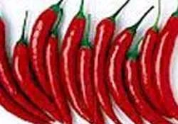 İSOT, Urfalıların vazgeçilmezi oldu