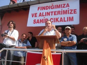 Üretici, fındığın yarısını TMO'ya satacak