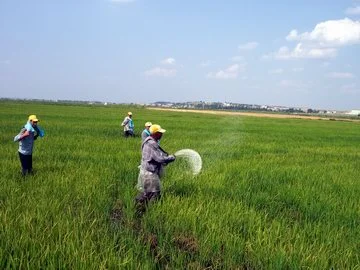 Verimliliği yüzde 20 arttıran gübre