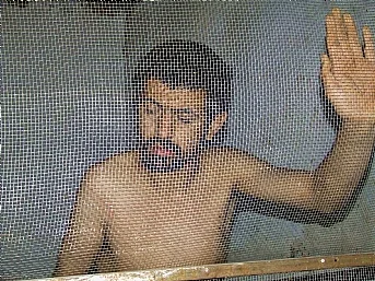 17 yıldır kafeste yaşıyor